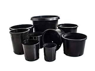 Pots_Containers_Trays